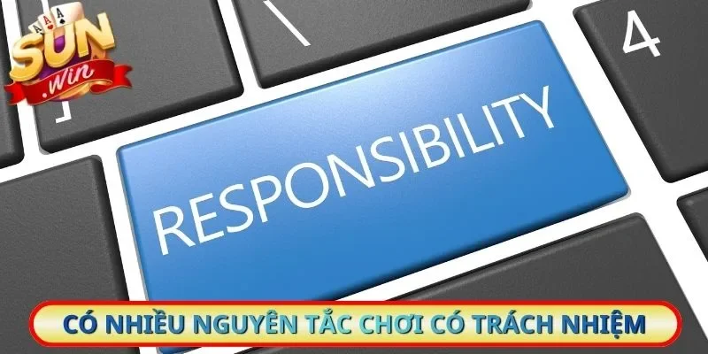 Có nhiều nguyên tắc chơi có trách nhiệm